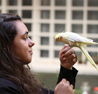 Dra. Natália Cavalcante